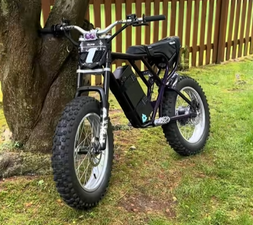 Ridstar Q20